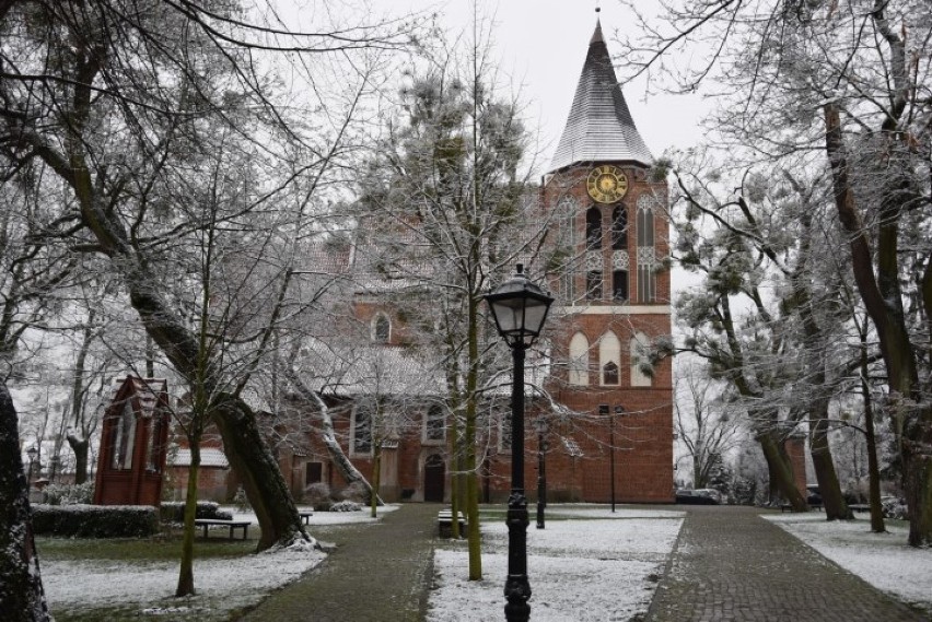 Przyprószony śniegiem Pruszcz Gdański. Biały puch przykrył budynki, drzewa i krzewy [ZDJĘCIA]