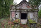 Modliszewo. Leśny grobowiec z 1929 roku zabezpieczono przed wandalami