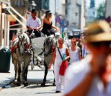 Kraków: jak ulżyć koniom na Rynku Głównym w trakcie upałów?