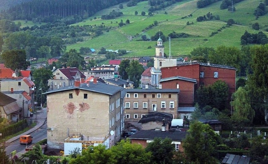 W gminie Głuszyca (obszar wiejski) stwierdzono w ubiegłym...