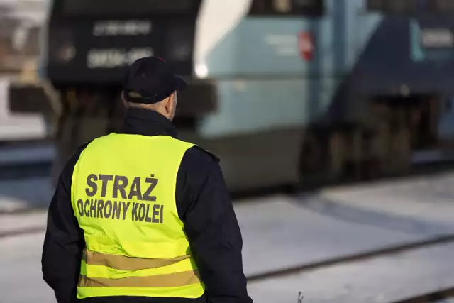 Sieradzanin mógł doprowadzić do wykolejenia pociągu w Zduńskiej Woli. Układał na torach przeszkody. Został ujęty przez patrol Straży Ochrony Kolei ze Zduńskiej Woli Karsznic