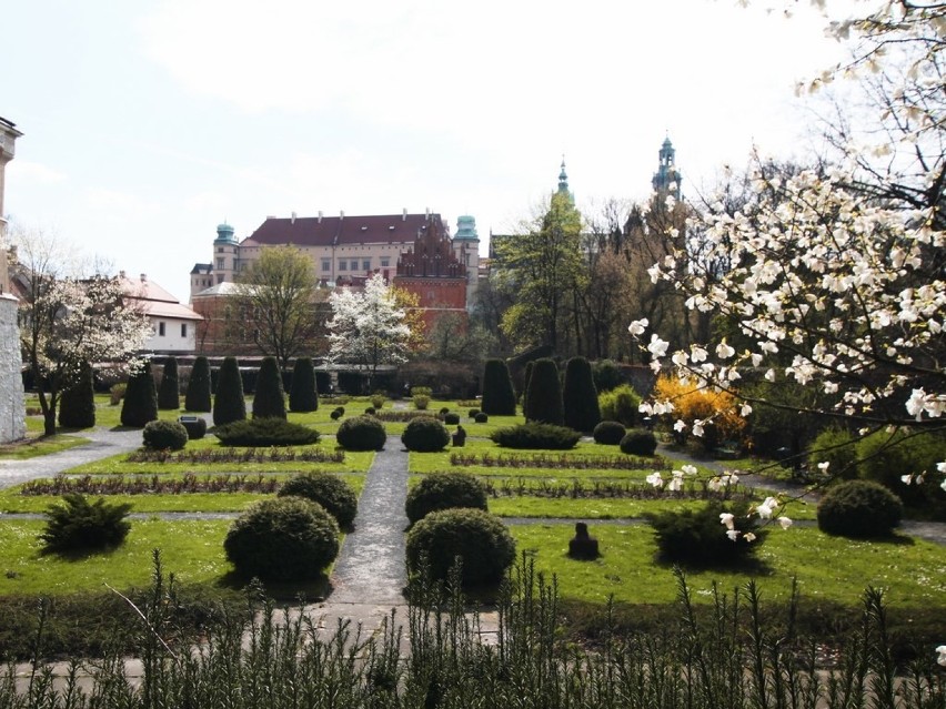 Najpiękniejsze krakowskie ogrody muzealne to miejsca, w...