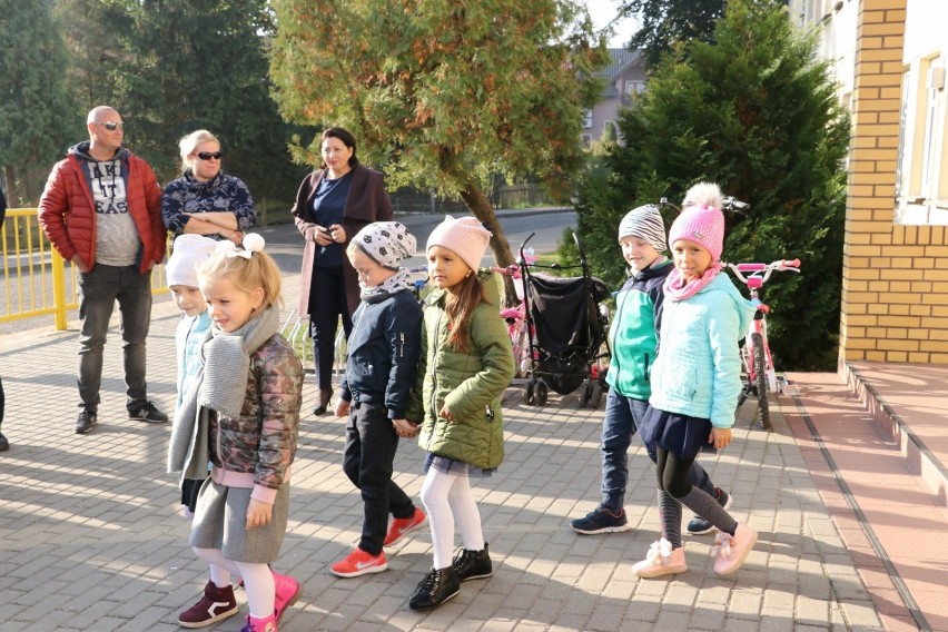 Posadzili 100 krokusów upamiętniających 100 lat Niepodległej Polski [ZDJĘCIA]