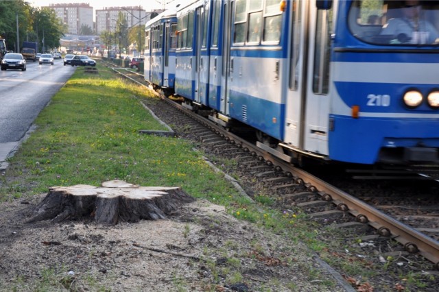 Tramwaje nie pojadą do dwóch ważnych pętli