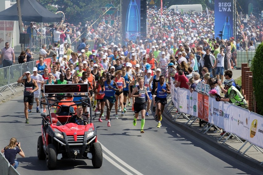 Bieg Lwa to już uznana i prestiżowa impreza biegowa, która ściąga doTarnowa Podgórnego tysiące biegaczy z całego świata