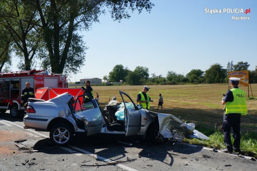 Śmiertelny wypadek w Żerdzinach: kierowca zginął na miejscu