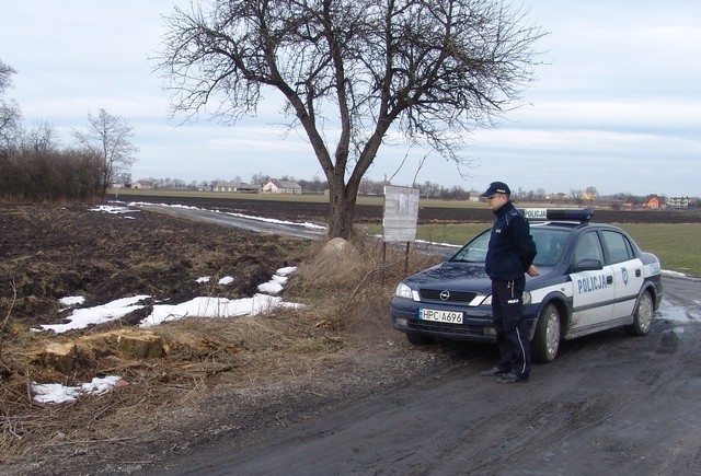 Radziejów: Kradzież drewna