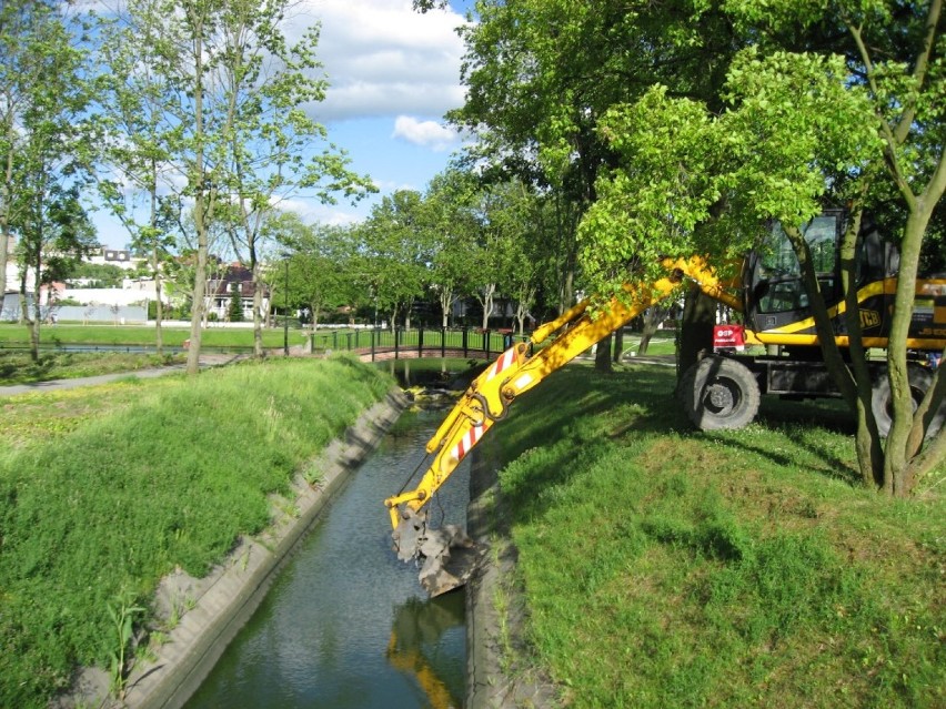 Park Tysiąclecia w Chojnicach - trwa akcja oczyszczania jeziorek ze ścieków
