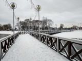 Zima nad Pogorią III w Dąbrowie Górniczej. Mnóstwo śniegu, kaczek, są też łabędzie 