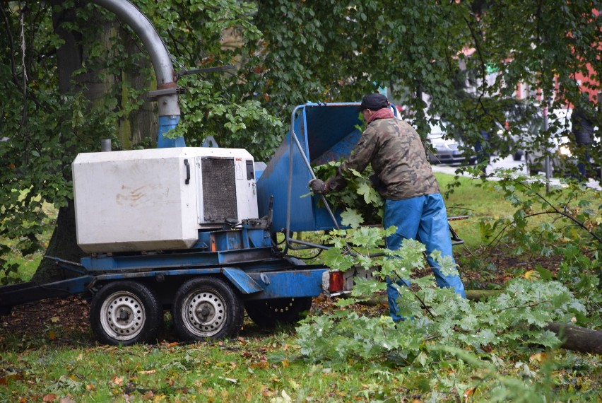 Trwa usuwanie szkód po Ksawerym [ZDJĘCIA]