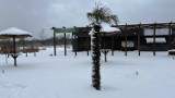 Plaża miejska w Będzinie przysypana śniegiem. Palmy i słomiane parasole pod białym puchem. Zobaczcie zdjęcia 