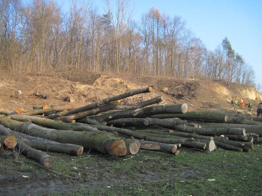 Skrzyżowanie Ducha i Solidarności w Lublinie. Drzewa wycięto, ale będą nowe nasadzenia