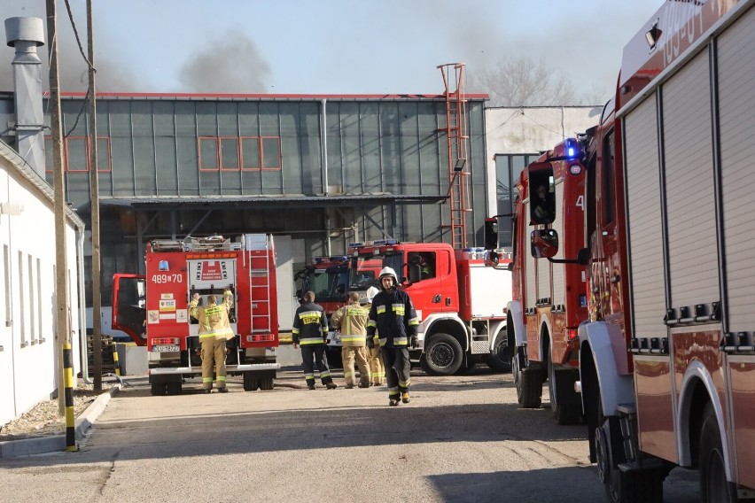 Ogromny pożar hali magazynowej w Ścinawie. Trwa akcja gaśnicza, zobaczcie zdjęcia