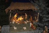 Dąbrowa Górnicza: Świątecznych szopek czar. Tradycyjne, żywe, z łodzią i choinkami