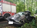 Poważny wypadek w Dąbrowicy koło Szczucina. Kierowca BMW wjechał w drzewo. Nieprzytomny 18-latek trafił do szpitala [ZDJĘCIA]