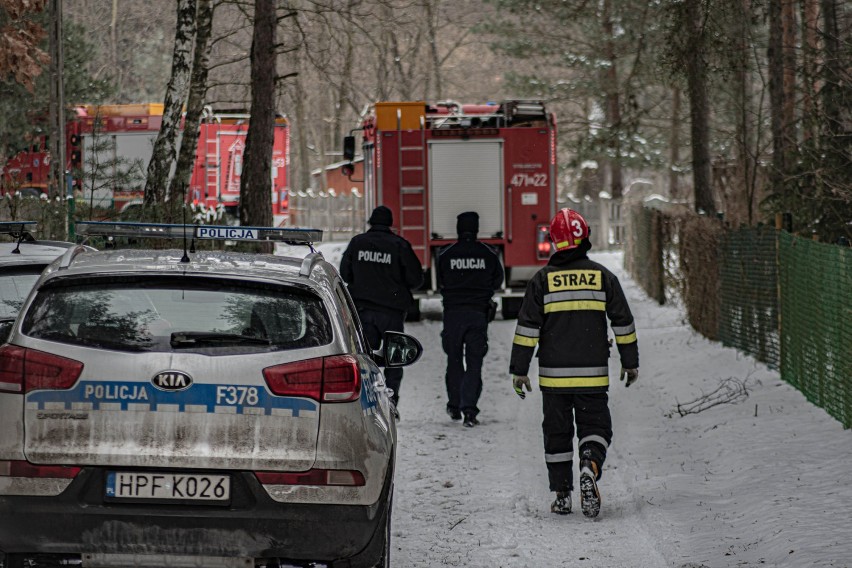 Strażacy i policjanci łapali byka, który uciekł właścicielowi w gminie Poświętne [ZDJĘCIA]