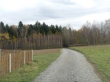 Naprawione drogi dojazdowe do pól w gminie Skołyszyn