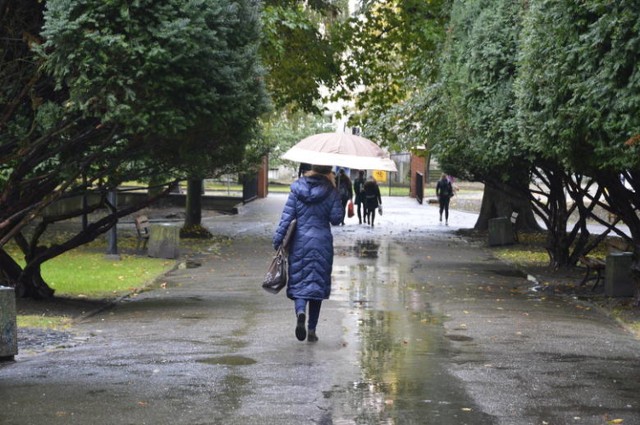 Park Wiosny Ludów w samym sercu miasta to jeden z jego symboli. Ale do ideału mu daleko. Mieszkańcy wiedzą, co by trzeba w nim zmienić. A urzędnicy przyznają, że jest taka szansa.