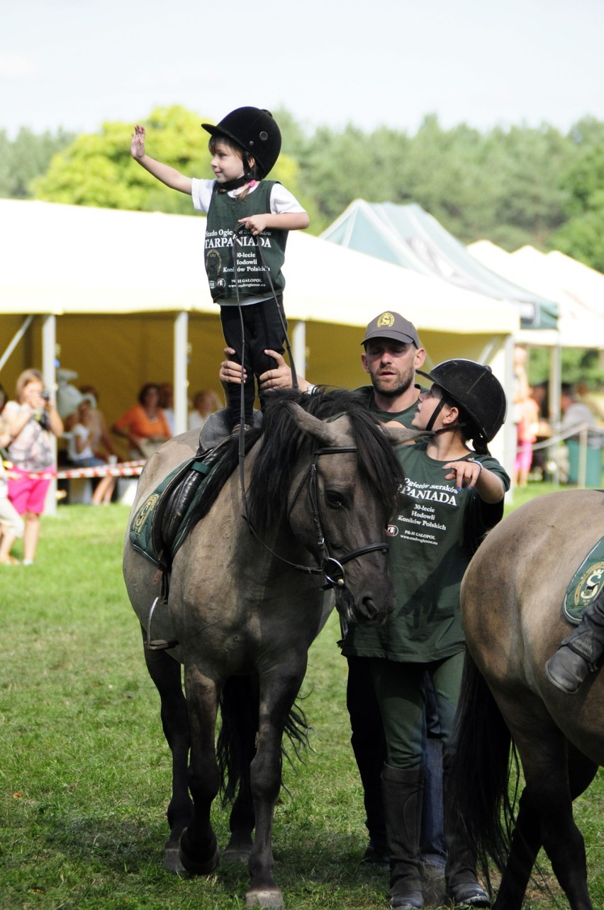 Sieraków - Tarpaniada 2013