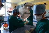 Chirurdzy z Poznania operują a transmisję ogląda cały świat [ZDJĘCIA]