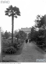 Kraków. Ogród botaniczny na archiwalnych zdjęciach