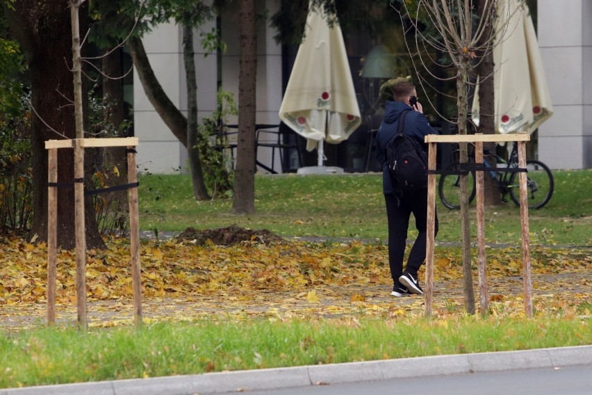 Lublin. Liście na chodnikach i ścieżkach rowerowych stwarzają zagrożenie. - Zostaną posprzątane w najbliższym czasie - zapewnia ratusz