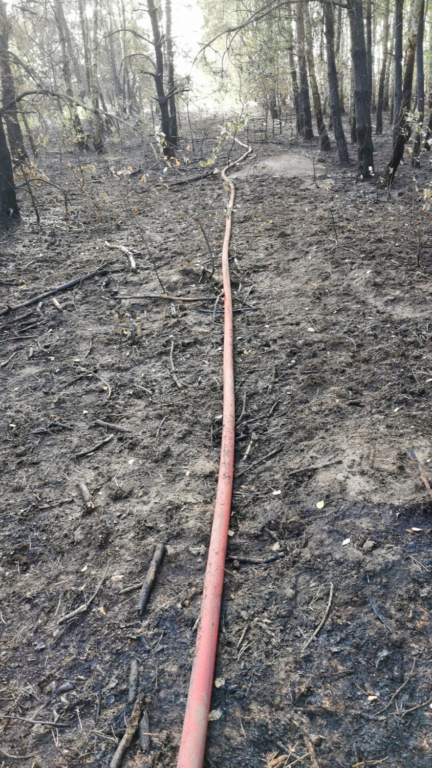Pożar w gminie Dobryszyce. W Białej Górze płonęły nieużytki, ściernisko i las. ZDJĘCIA