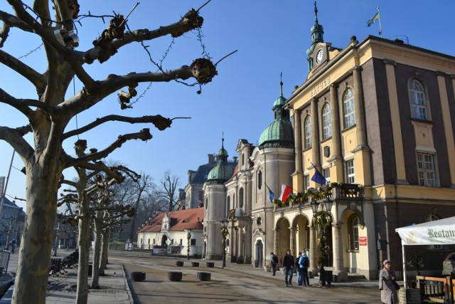 Urząd Miasta w Pszczynie miejscem wykładów