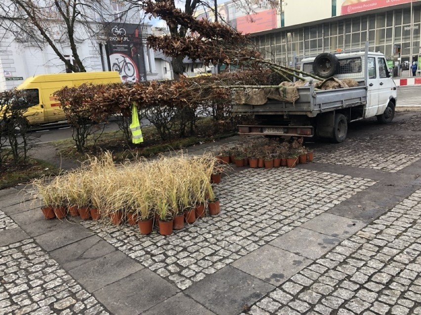 Miasto przygotowuje się do wiosny i lata, by było w nim...