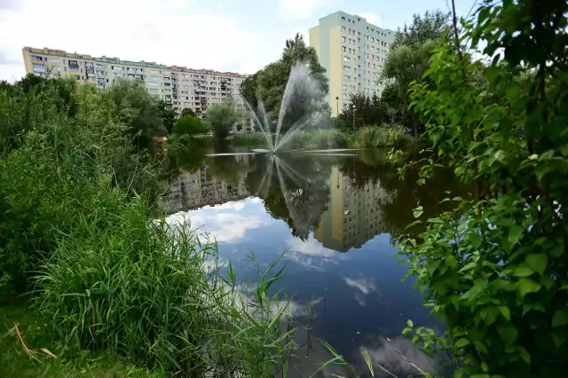 Stawy Brustmana w Warszawie przeszły modernizację.