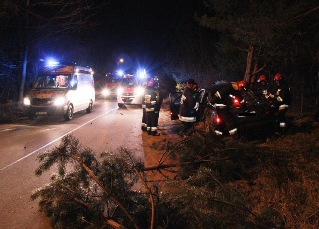 Samochód wypadł z drogi i uderzył prawą stroną w stojące na poboczu drzewo. Ślady na jezdni wskazywały na to, że pojazd wpadł w poślizg być może na skutek nieostrożności kierowcy. Po przybyciu służb ratowniczych poszkodowany znajdował się poza pojazdem. 

Wypadek drogowy w Balbinowie [zdjęcia]