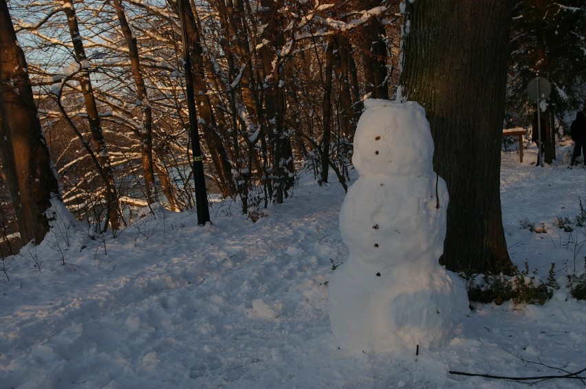 Park zdobią bałwany, takich budowli jest więcej