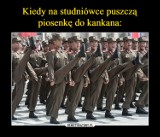 Sezon na studniówki w pełni. Zobacz memy internautów (DUŻO ZDJĘĆ)