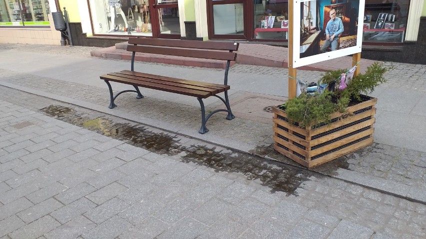 W Chełmnie przysiąść można na nowych ławkach. Nowe (zdjęcia)...