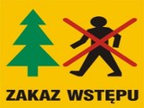 Opryski lasów w powiecie tomaszowskim i opoczyńskim. Obowiązują zakazy wstępów do lasów