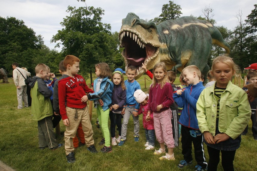 Jeszcze więcej dinozaurów zamieszka w lubińskim parku!