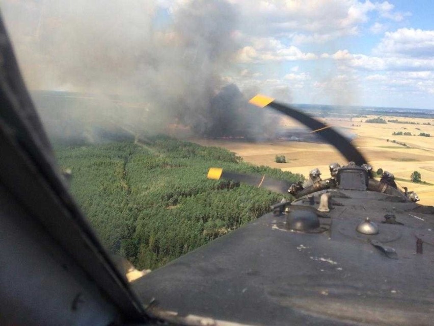 Upał nie ustaje. 500 leśników pilnuje lasów przed pożarem 