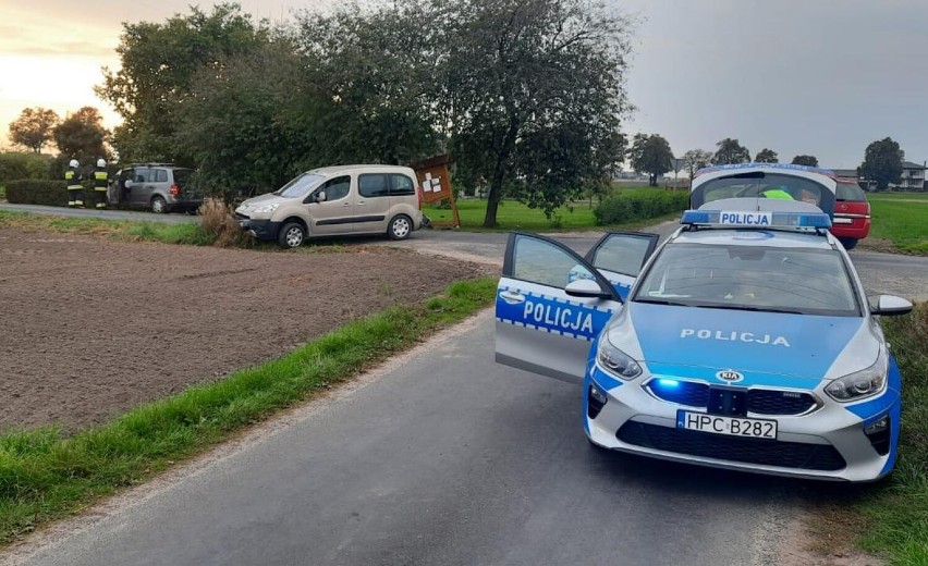 Do zdarzenia doszło na drodze gminnej w Pułkownikowie (gm....