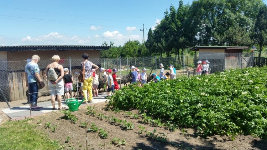 Agroturystyka Zielona Dolina dla Dzieci to wyjątkowe miejsce stworzone z myślą o dzieciach i nie tylko!