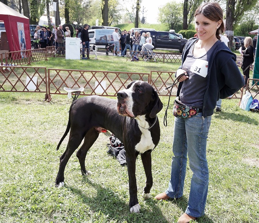 Międzynarodowa Wystawa Psów Rasowych w Łodzi