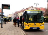 Kursy autobusów KLA w sylwestra i w Nowy Rok 