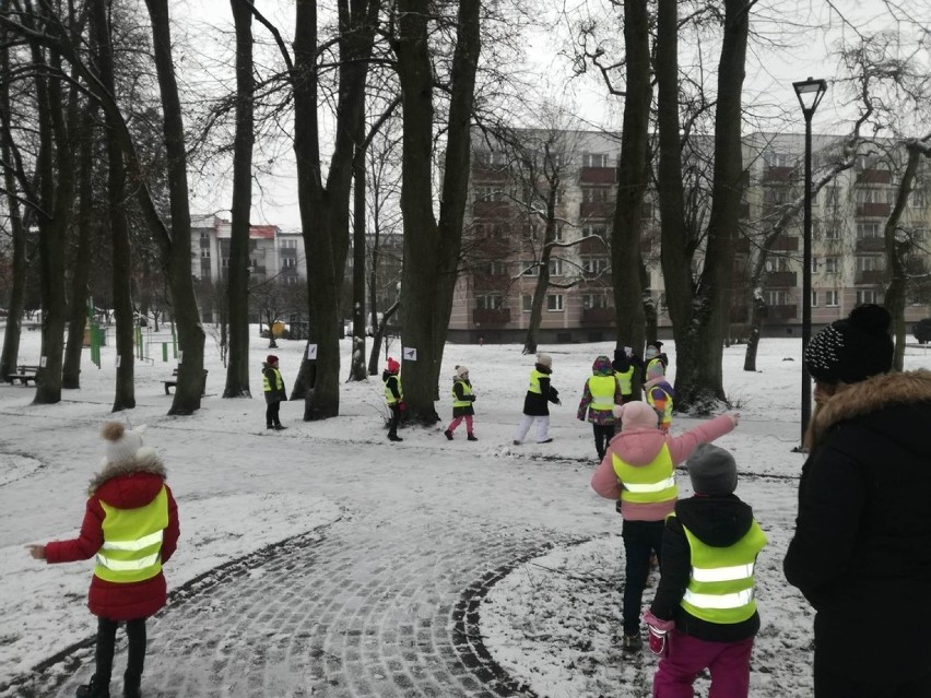 Zajęcia odbyły „pod chmurką”: nad jeziorem Kapliczne, w miejskim parku w Kościerzynie i na terenach leśnych w sąsiedztwie rezerwatu