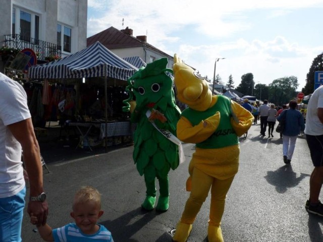 46. Ogólnopolskie Święto Chmielarzy i Piwowarów czyli „Chmielaki Krasnostawskie 2016” przypadają na 19-21 sierpnia