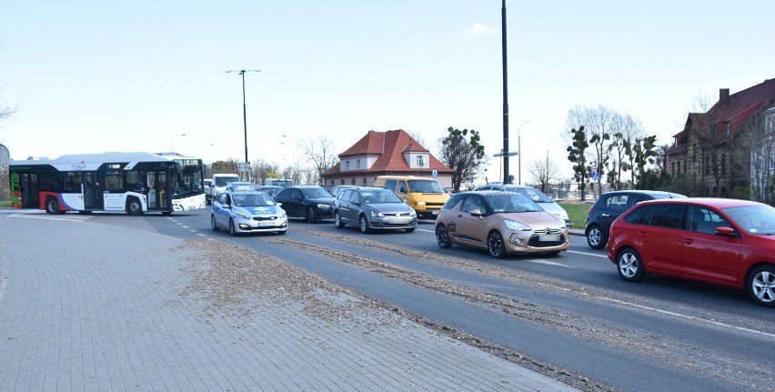 Malbork. Na drogę krajową nr 22 wysypały się ziemniaki. Najprawdopodobniej to pasza. Policja będzie szukać sprawcy