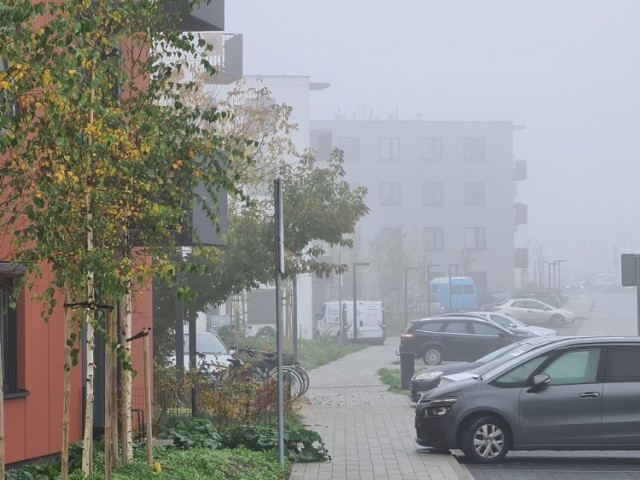 Nagrodzone osiedle mieszkaniowe przy ul. Okólnej w Toruniu