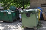 Strzegom: Gdzie wyrzucić śmieci i jak segregować