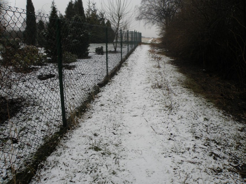 Zima [2014] w Mysłowicach