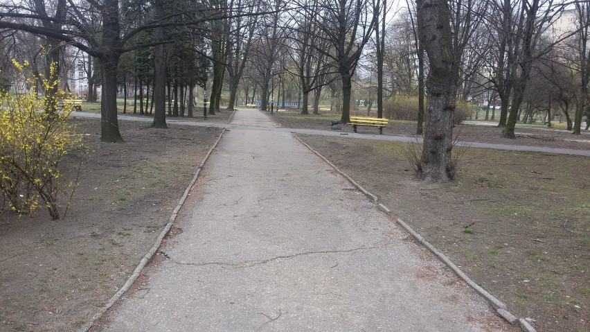 Park w Sosnowcu przy ul. Mościckiego odwiedzany jest przez...