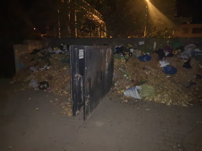 Wolsztyn. Kontenera na śmieci na razie nie będzie [FOTO]