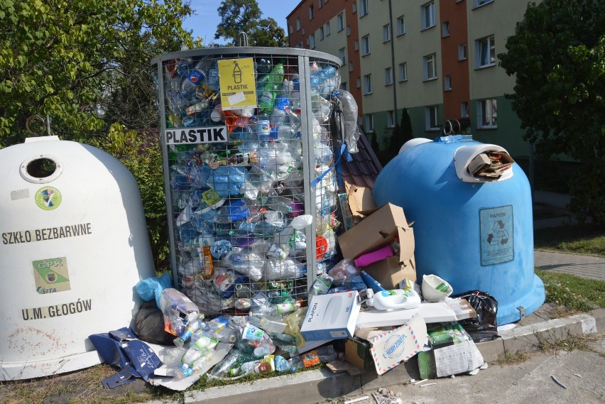 Śmieci zalewają podwórko. Czy wywożone są zbyt rzadko? [ZDJĘCIA]